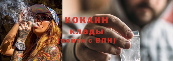 гидра Кукмор