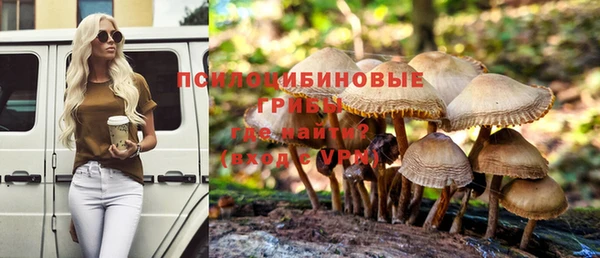 гидра Кукмор
