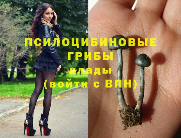 гидра Кукмор