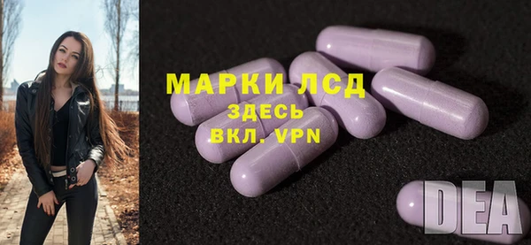 гидра Кукмор