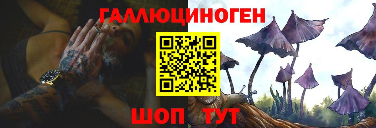 Псилоцибиновые грибы GOLDEN TEACHER Каспийск